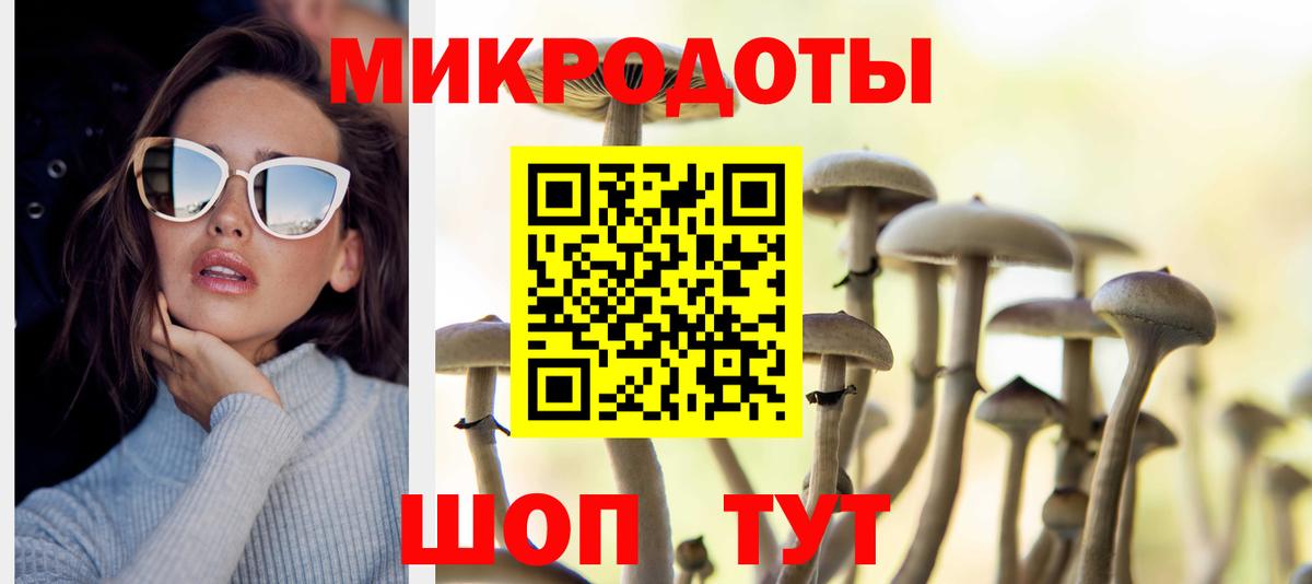 Галлюциногенные грибы Psilocybine cubensis Магнитогорск